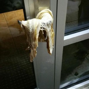 c425f081-981f-459e-a716-292f07713b41