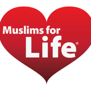 9841eb6cc10530599b717fac64697fd4