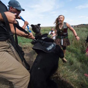 protesters-mauled-caribflame-com_